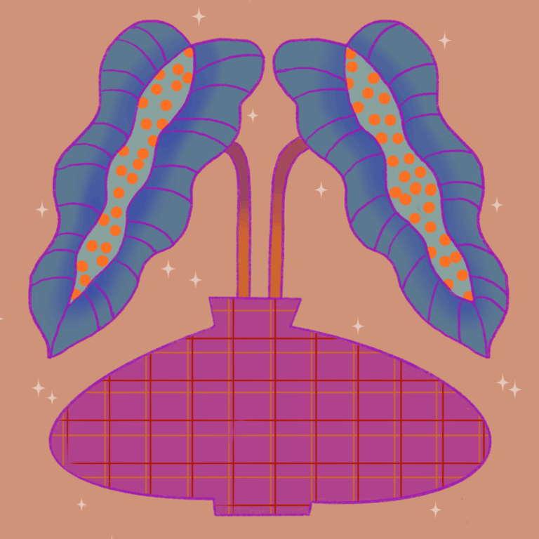 Plants diary 2D-02